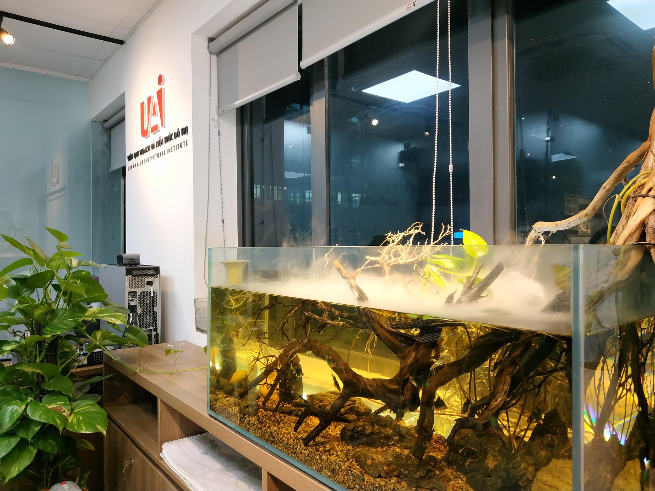 IMG_20191114_174928-1